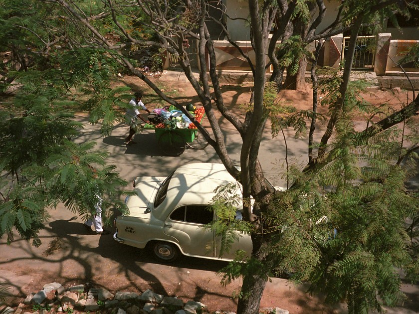 Neighbourhood. View on the Road. Bangalore. .