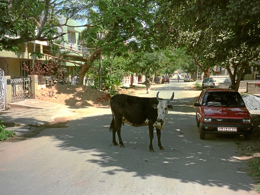 Koramangala. Koramangala. Bangalore. .