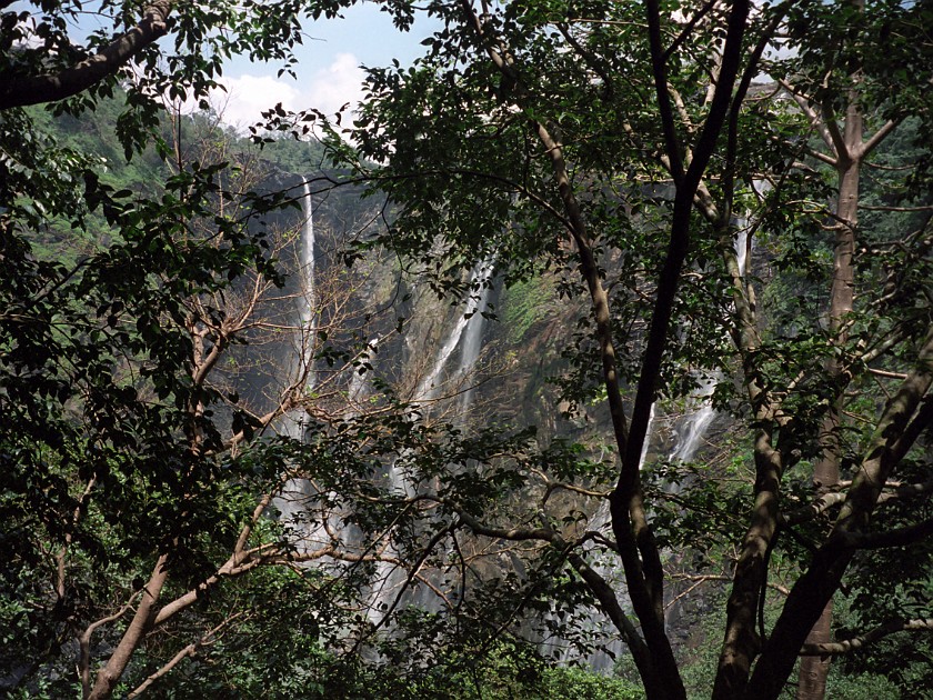 Trip to Sagar. Jog Falls. near Sagar. .