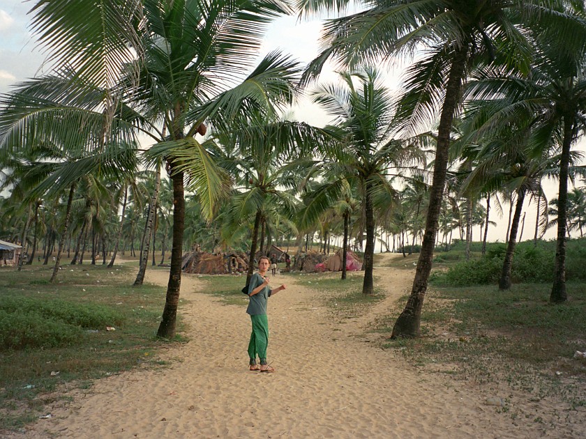 Trip to Goa. Colva Beach. Goa. .