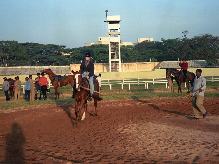 Bangalore Turf Club. Bangalore Amateur's Riding Institute. Bangalore. .