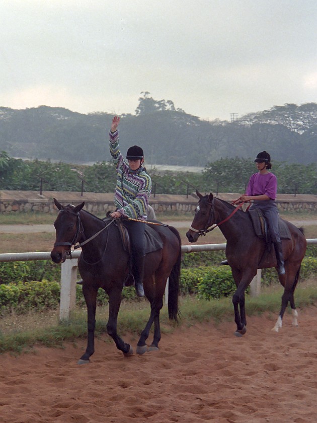 Bangalore Turf Club. Bangalore Amateur's Riding Institute. Bangalore. .