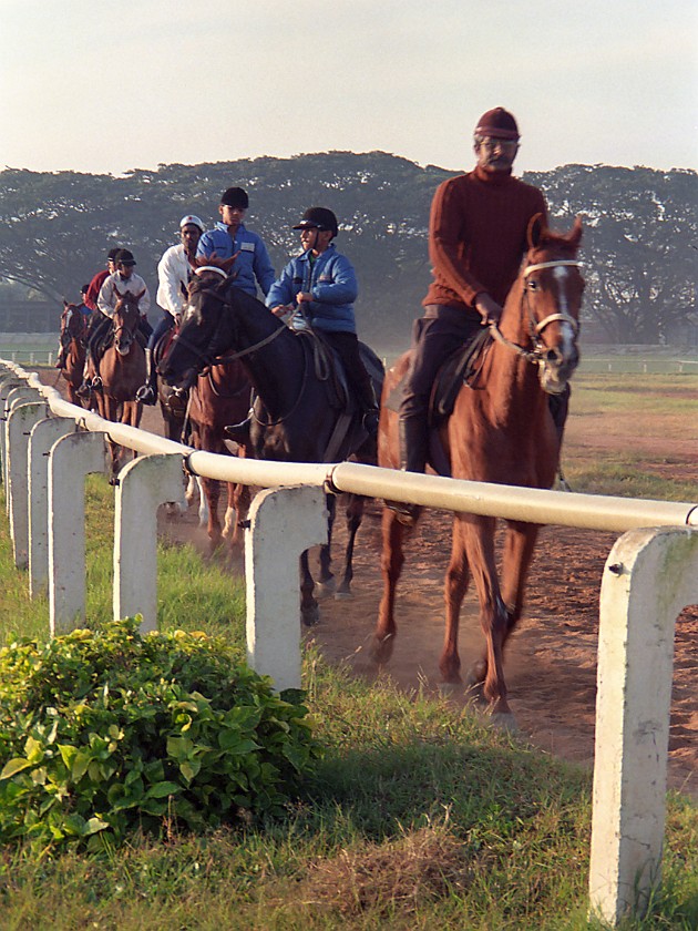 Bangalore Turf Club. Bangalore Amateur's Riding Institute. Bangalore. .