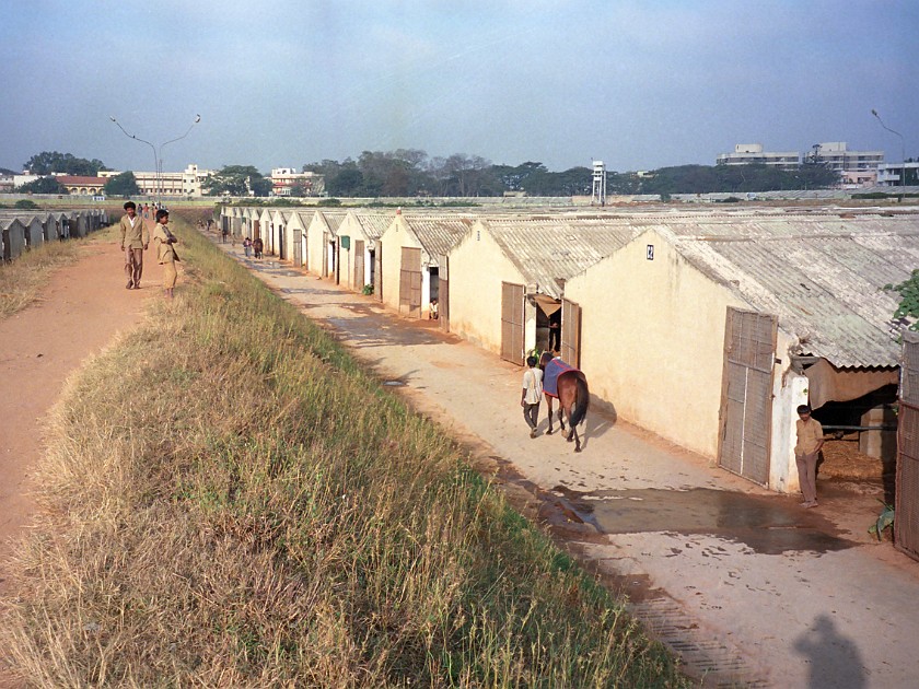 Bangalore Turf Club. Stables. Bangalore. .