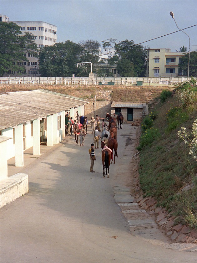 Bangalore Turf Club. Stables. Bangalore. .