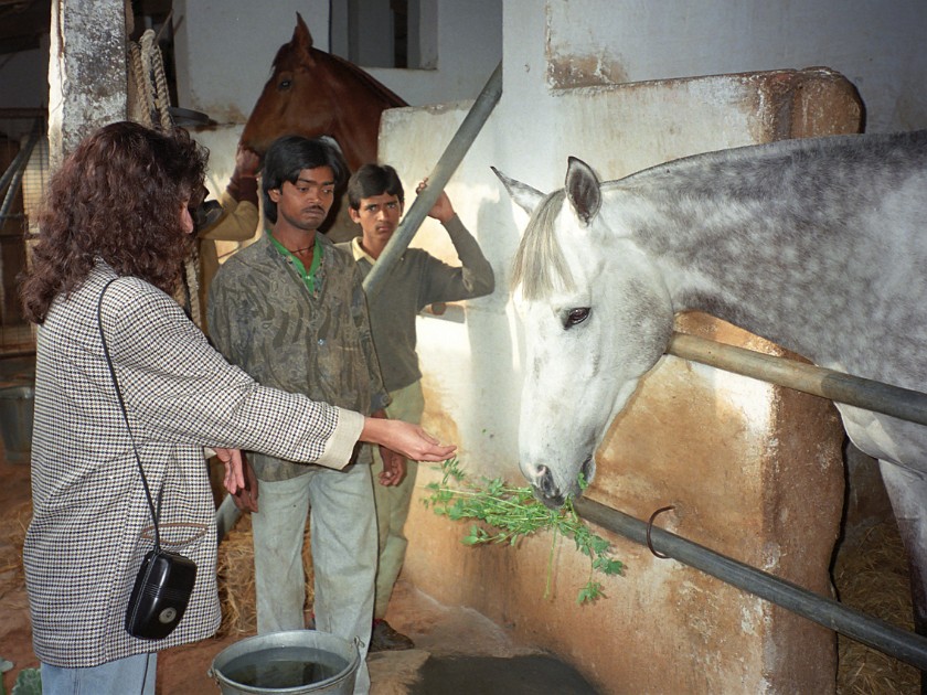 Bangalore Turf Club. Stables. Bangalore. .