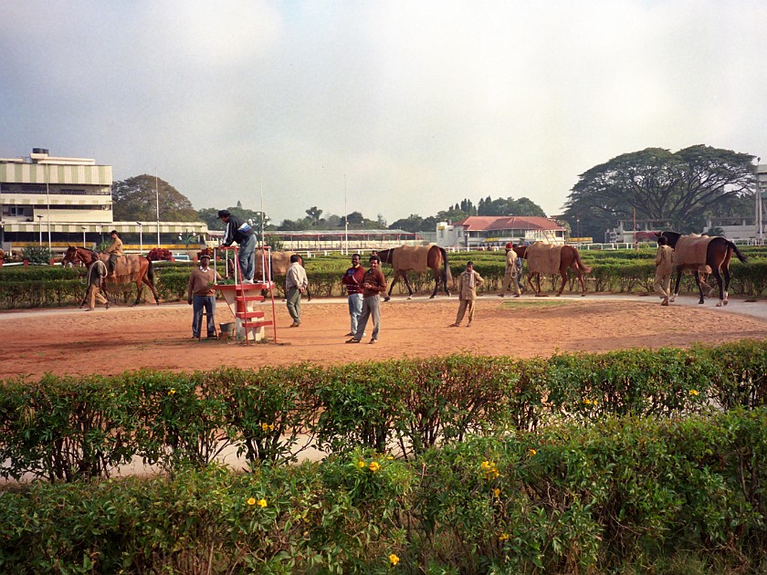 Bangalore Turf Club. Race Track. Bangalore. .