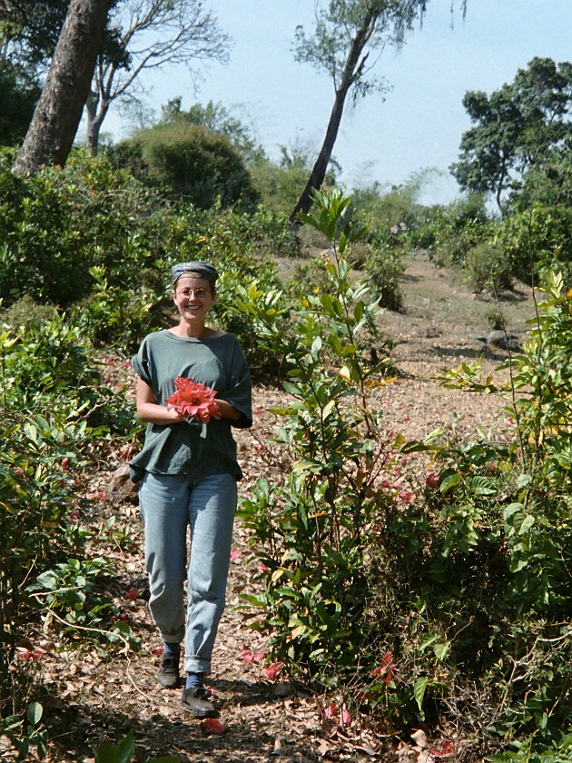 Trip to the Nilgiri Hills. Nilgiri Foothills. Masinagudi. .