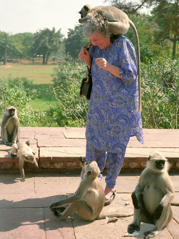 Trip to Agra. Agra. Agra. .