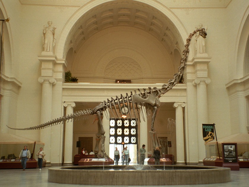 Chicago. Field Museum. Chicago. .