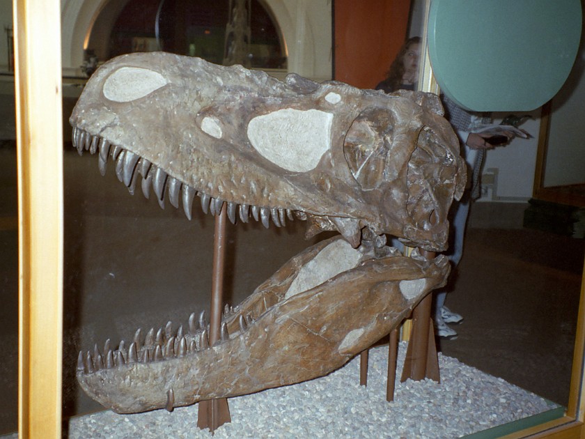 Chicago. Field Museum. Chicago. .