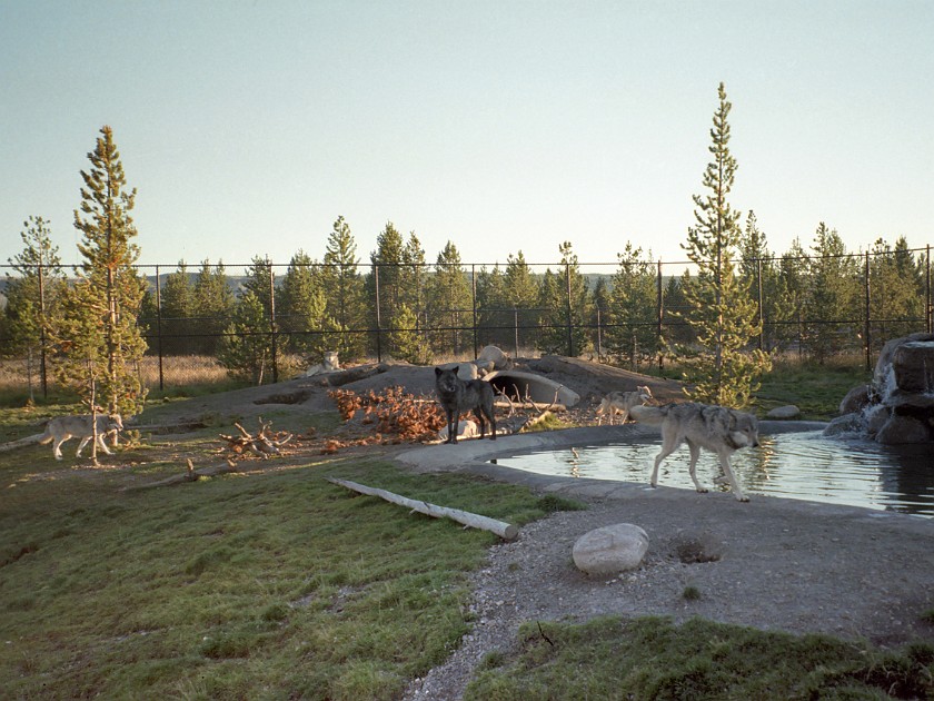 Yellow Stone National Park. Entrance to the National Park. Yellow Stone National Park. .