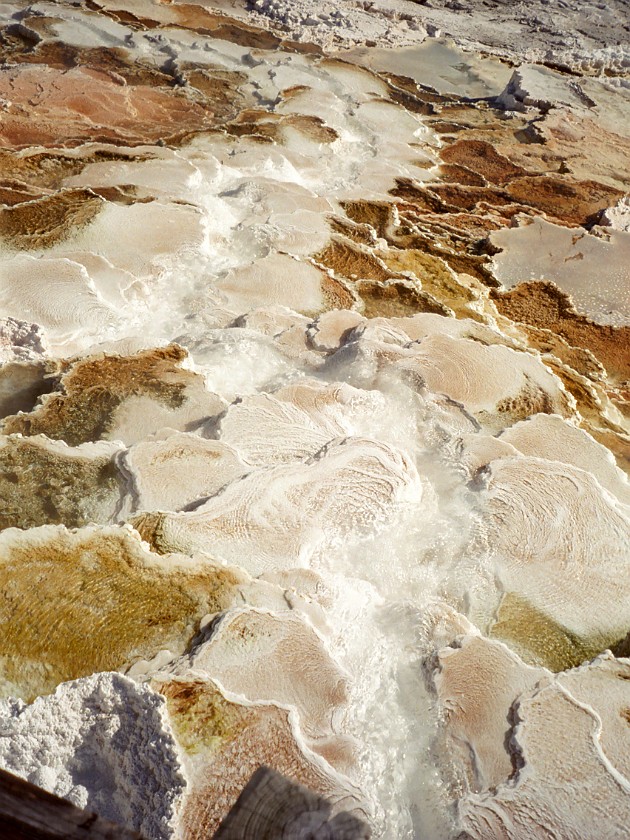 Yellow Stone National Park. Mammoth Hot Springs. Yellow Stone National Park. .
