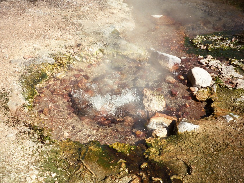 Yellow Stone National Park. Near Indian Creek. Yellow Stone National Park. .