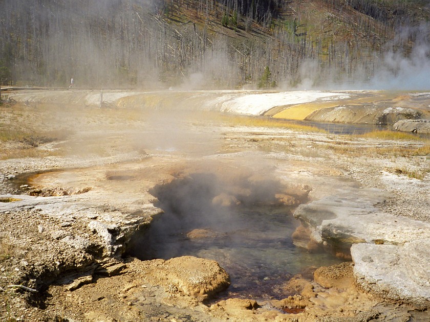 Yellow Stone National Park. Lower Geyser Basin. Yellow Stone National Park. .