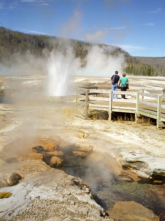 Yellow Stone National Park. Lower Geyser Basin. Yellow Stone National Park. .