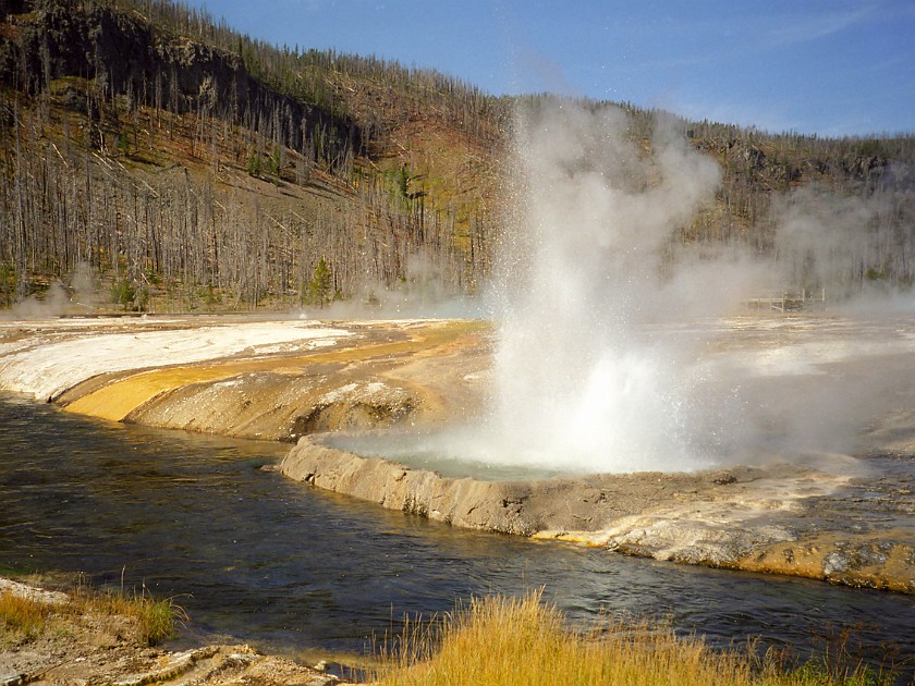 Yellow Stone National Park. Lower Geyser Basin. Yellow Stone National Park. .