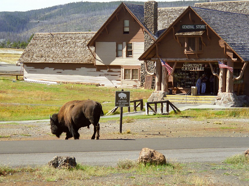Yellow Stone National Park. Upper Geyser Basin. Yellow Stone National Park. .