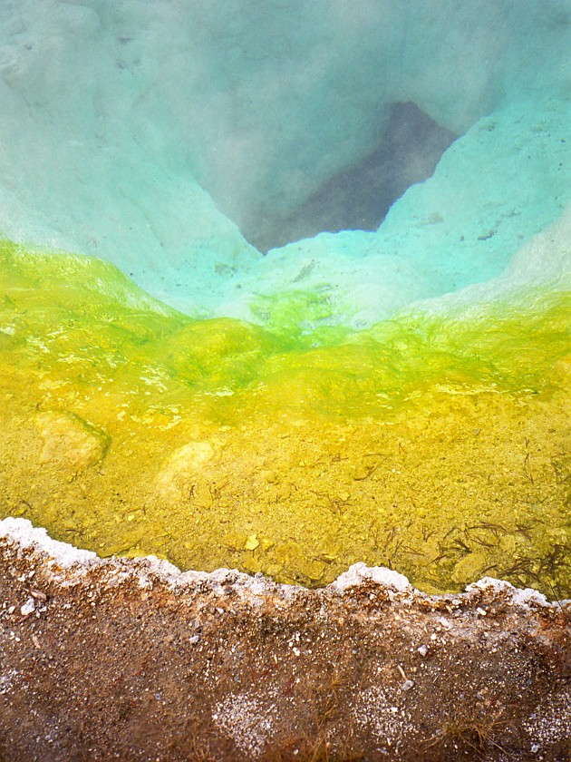Yellow Stone National Park. Upper Geyser Basin. Yellow Stone National Park. .