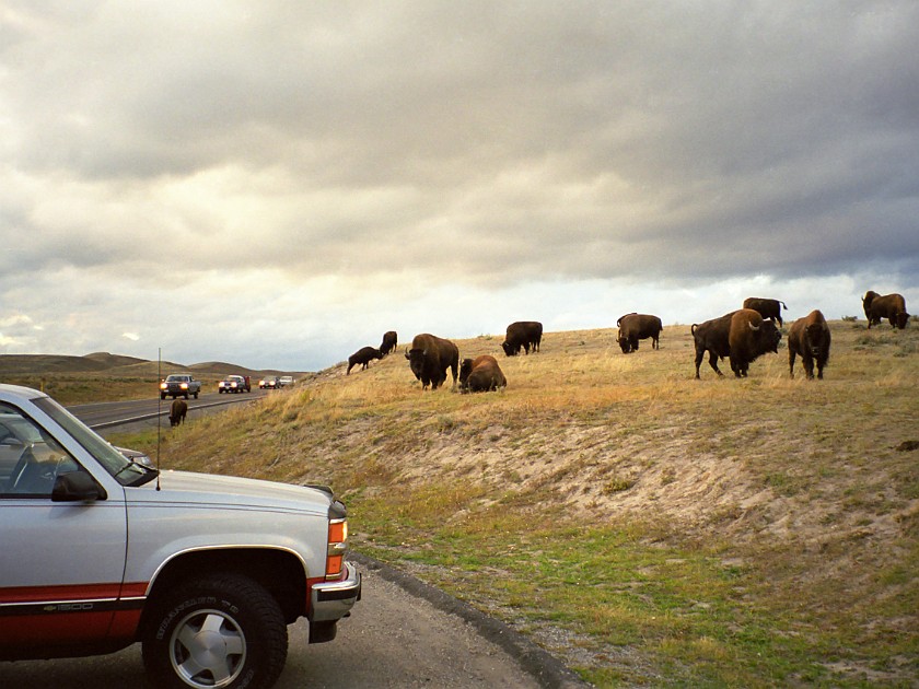 Yellow Stone National Park. Hayden Valley. Yellow Stone National Park. .