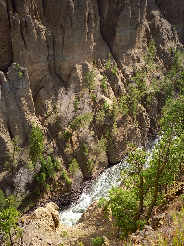 Yellow Stone National Park. North of Grand Loop Road. Yellow Stone National Park. .