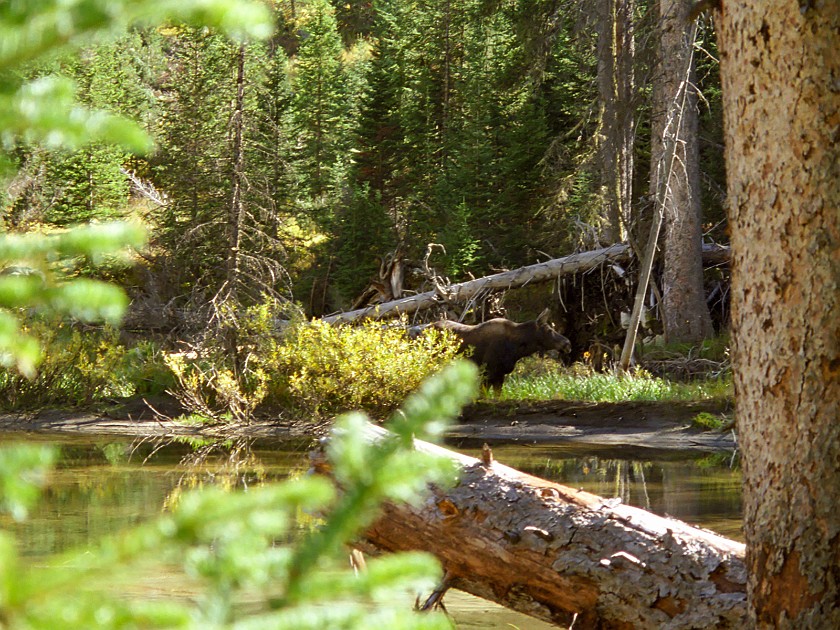Grand Teton National Park. Cascade Canyon. Grand Teton National Park. .