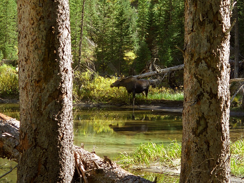Grand Teton National Park. Cascade Canyon. Grand Teton National Park. .