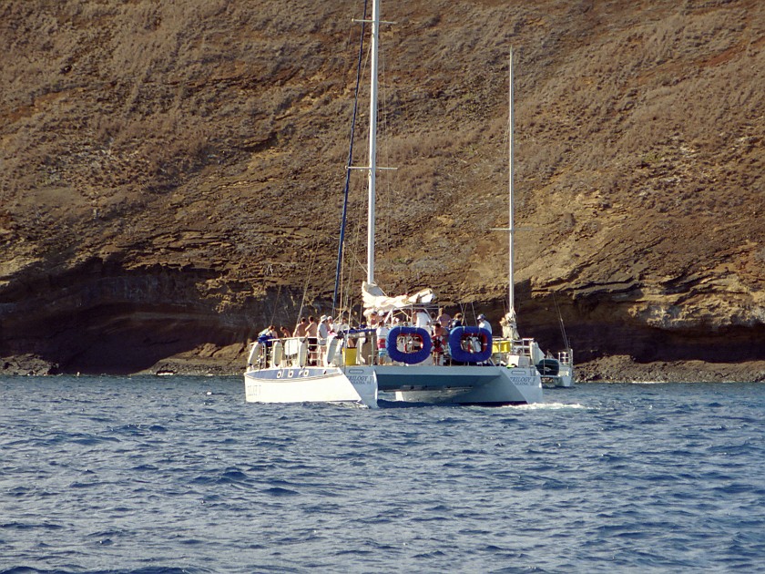 Diving Inside the Molokini Crater and Near Lanai. Molokini Crater. near Lanai. .