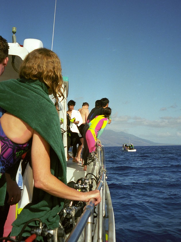 Diving Inside the Molokini Crater and Near Lanai. Maui. near Lanai. .