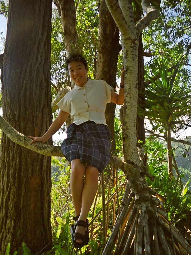 The South of Maui. Hana Forest Reserve. near Hana. .