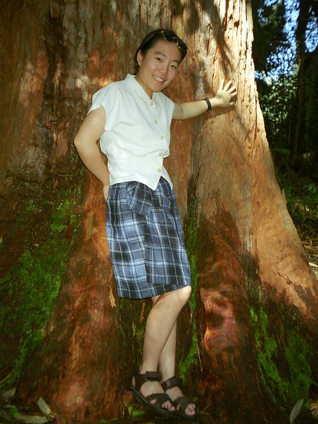 The South of Maui. Hana Forest Reserve. near Hana. .