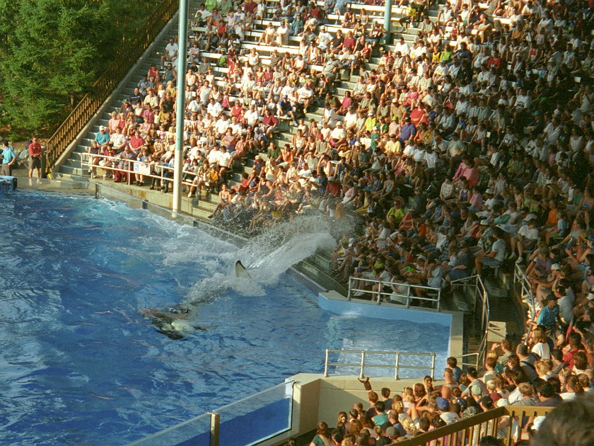 Sea World. Orca Show. near Cleveland. .