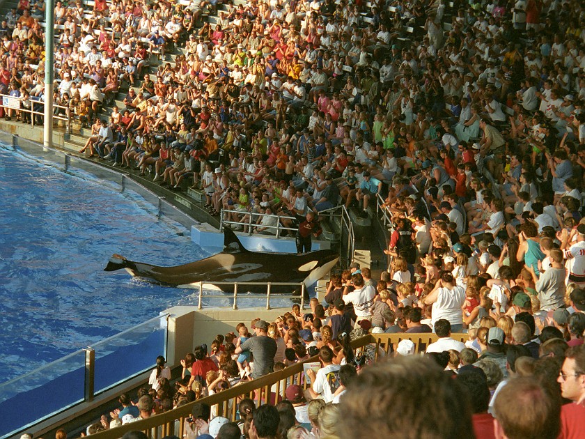 Sea World. Orca Show. near Cleveland. .