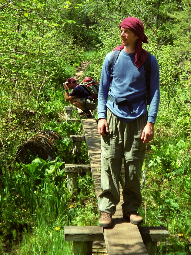 A Day of Hiking in the Park. Swamp Trail. Isle Royale National Park. .