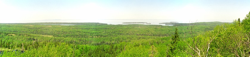 Forest. Isle Royale. Isle Royale National Park. .