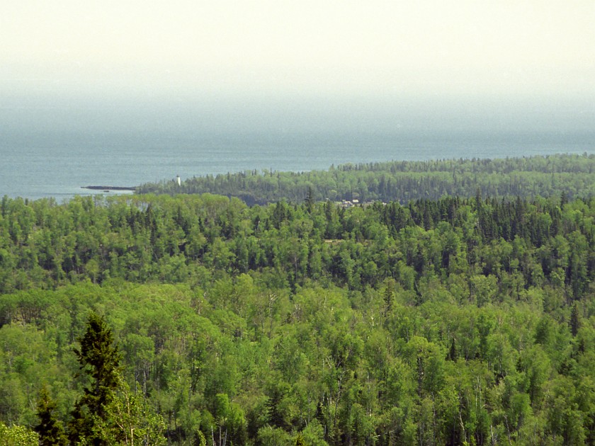 Forest. Isle Royale. Isle Royale National Park. .