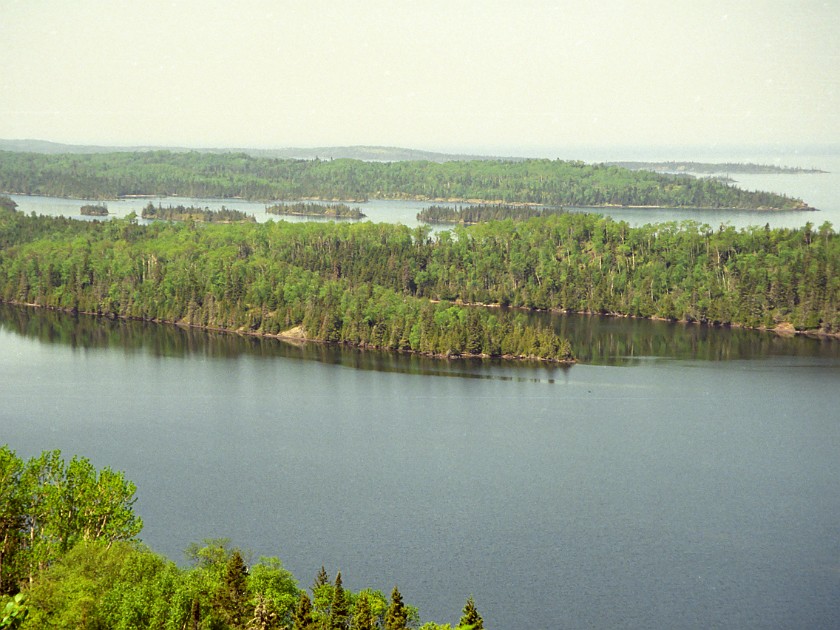 Forest. Isle Royale. Isle Royale National Park. .