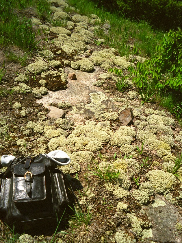 A Day of Hiking in the Park. Backpack. Isle Royale National Park. .