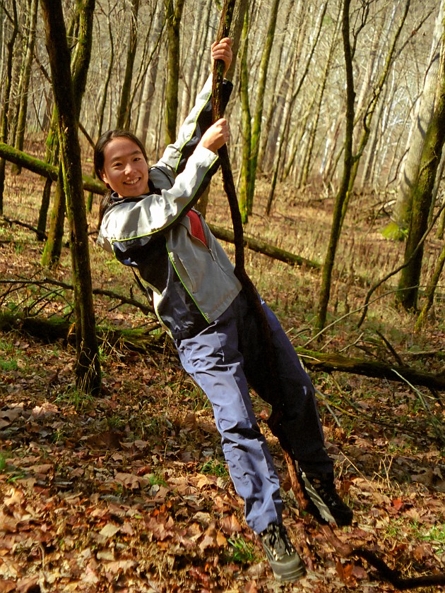 The Woods of the National Park. Hanging on a Branch. Mammoth Cave National Park. .