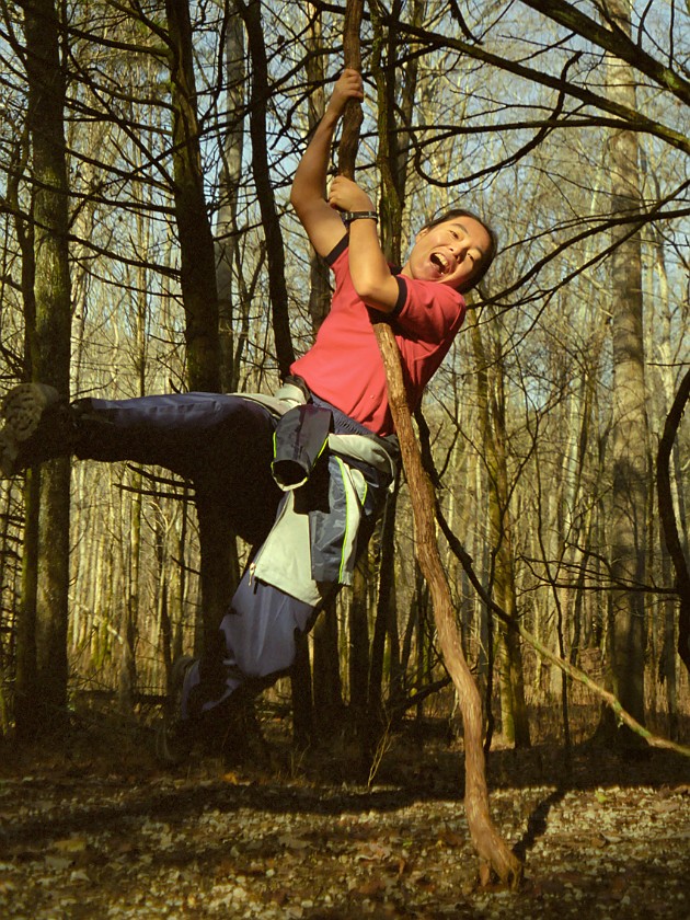 The Woods of the National Park. Hanging on a Branch. Mammoth Cave National Park. .