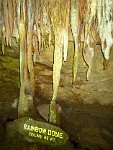MACA026