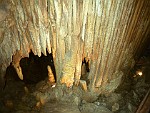 MACA030