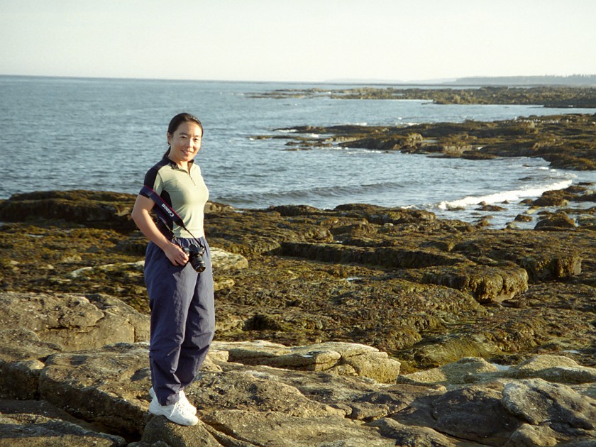 Bar Harbor and Surroundings. Shore. Bar Harbor. .
