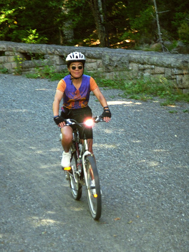 Bicycling Inside The National Park

. Bicycle. Arcadia National Park. .