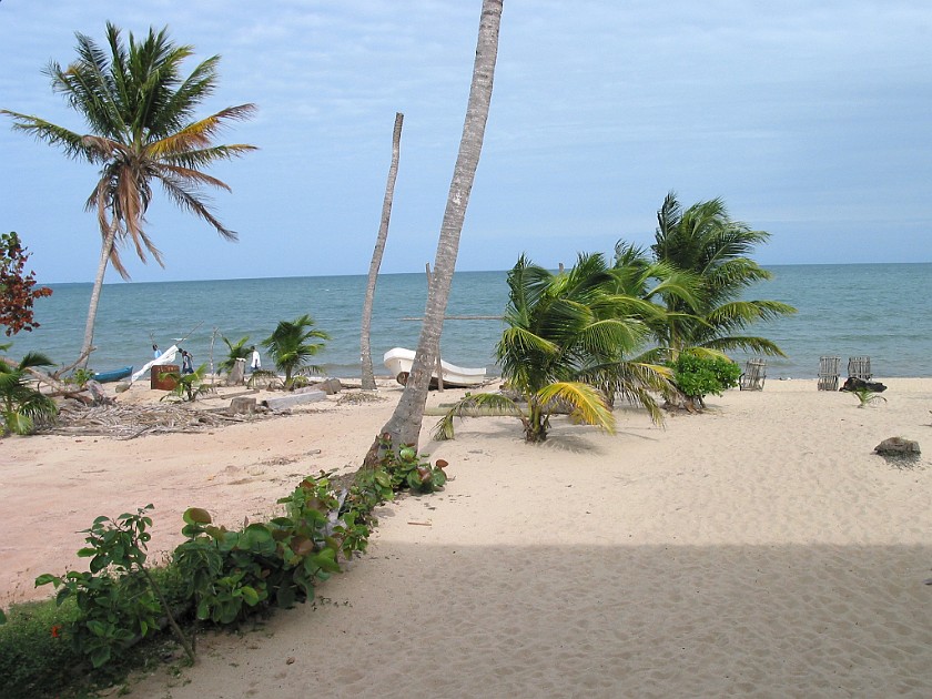 The Tipple Tree Beya. Beach. Hopkins Village. .