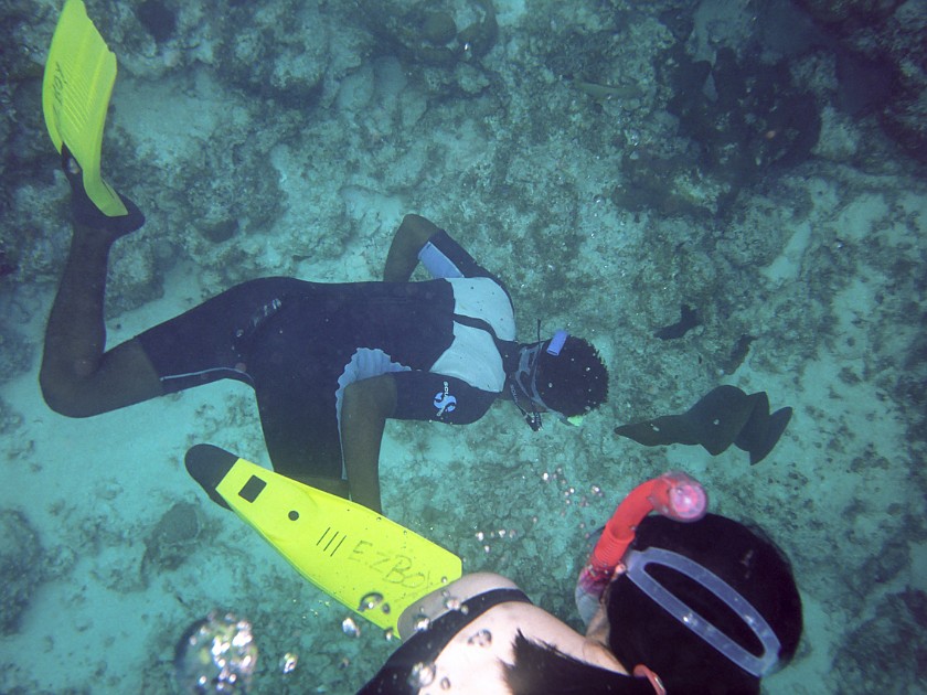 Snorkeling in the Hol Chan Marine Reserve. Snorkeling. Caye Caulker. .