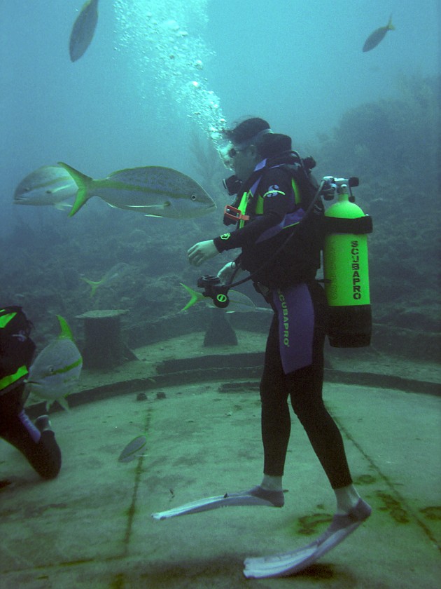 Diving East of Caye Caulker. Diving. Caye Caulker. .