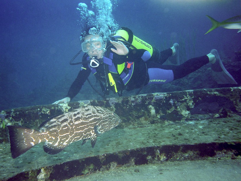 Diving East of Caye Caulker. Diving. Caye Caulker. .