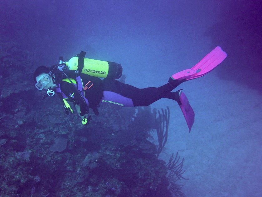 Diving East of Caye Caulker. Diving. Caye Caulker. .