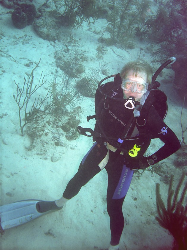 Diving East of Caye Caulker. Diving. Caye Caulker. .